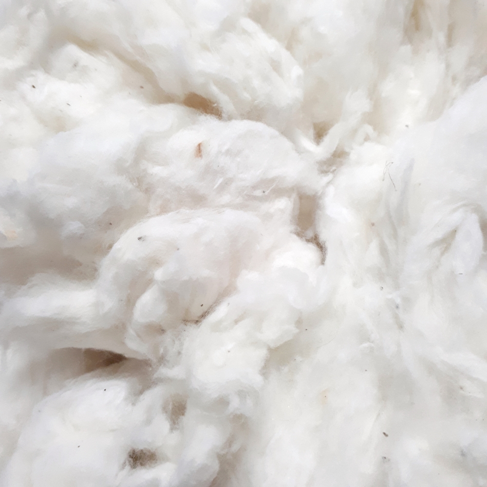 egyptian cotton fibre: 25gm - Fibres - The Handweavers Studio & Gallery